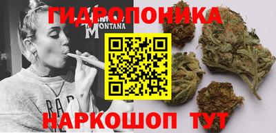 МДПВ Кандалакша