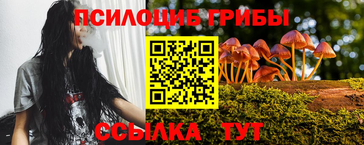 Галлюциногенные грибы MAGIC MUSHROOMS Кудымкар