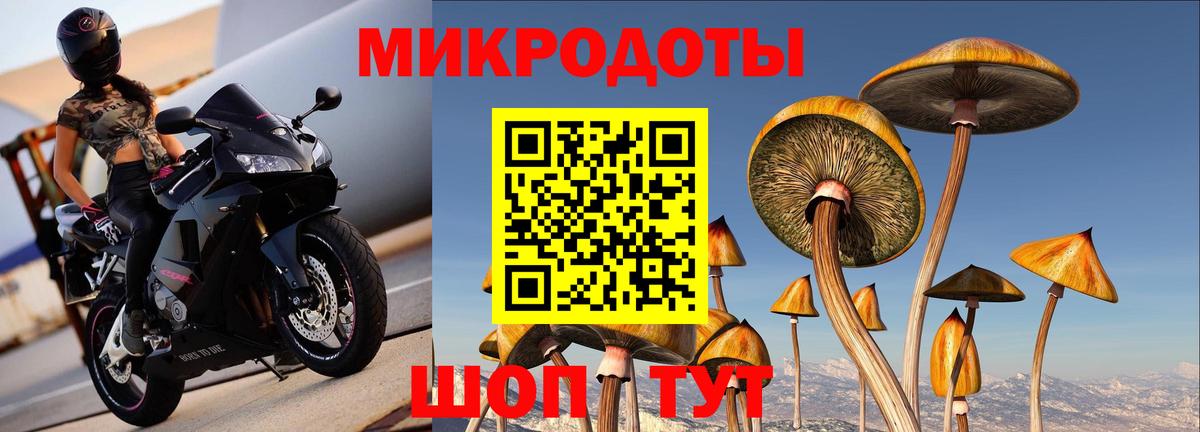 Галлюциногенные грибы Psilocybine cubensis  Вход с VPN  Кудымкар 